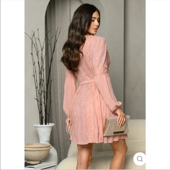 Blush Pink Lace Mini Dress | Long Sleeve Romantic Party & Wedding Guest - Picture 3 of 6